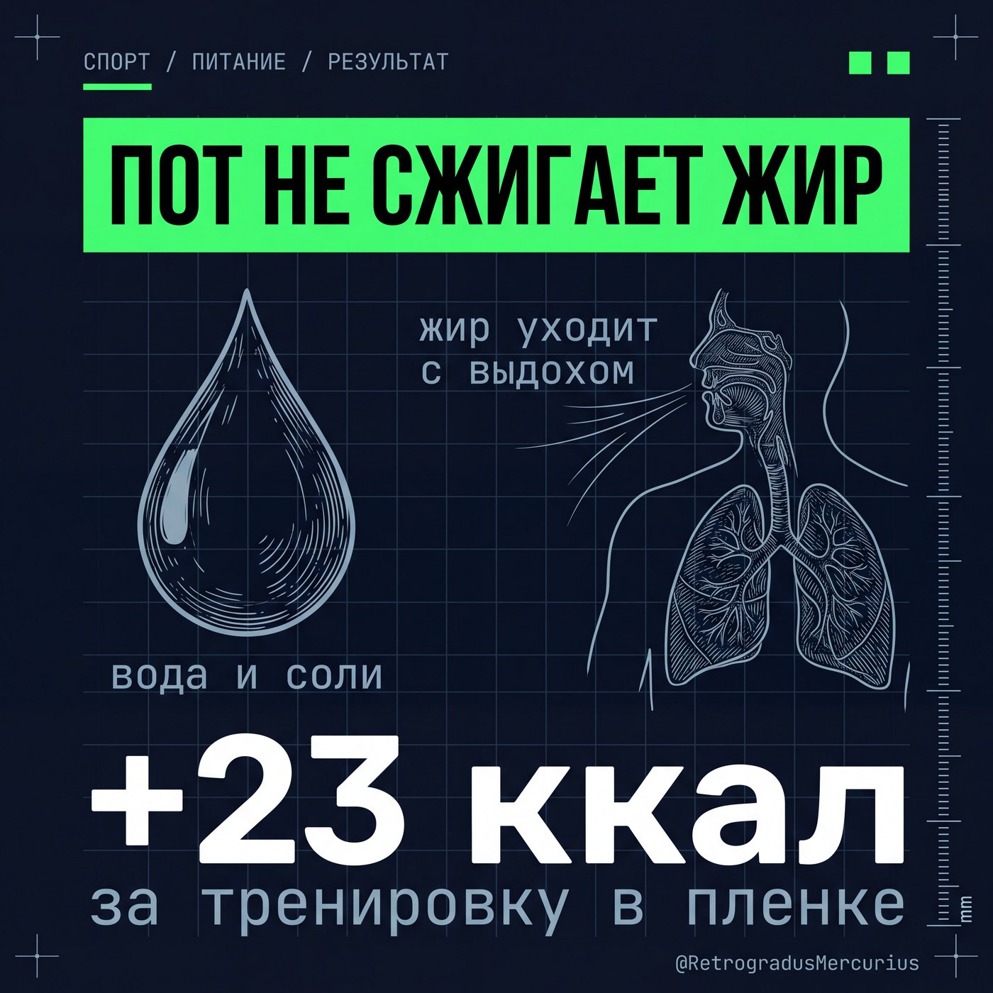 Пот и жир: почему мокрый от пота не значит похудевший