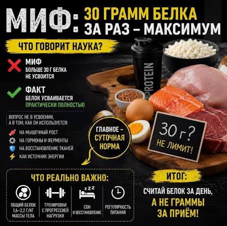 Усваивается ли только 30 грамм белка за раз?